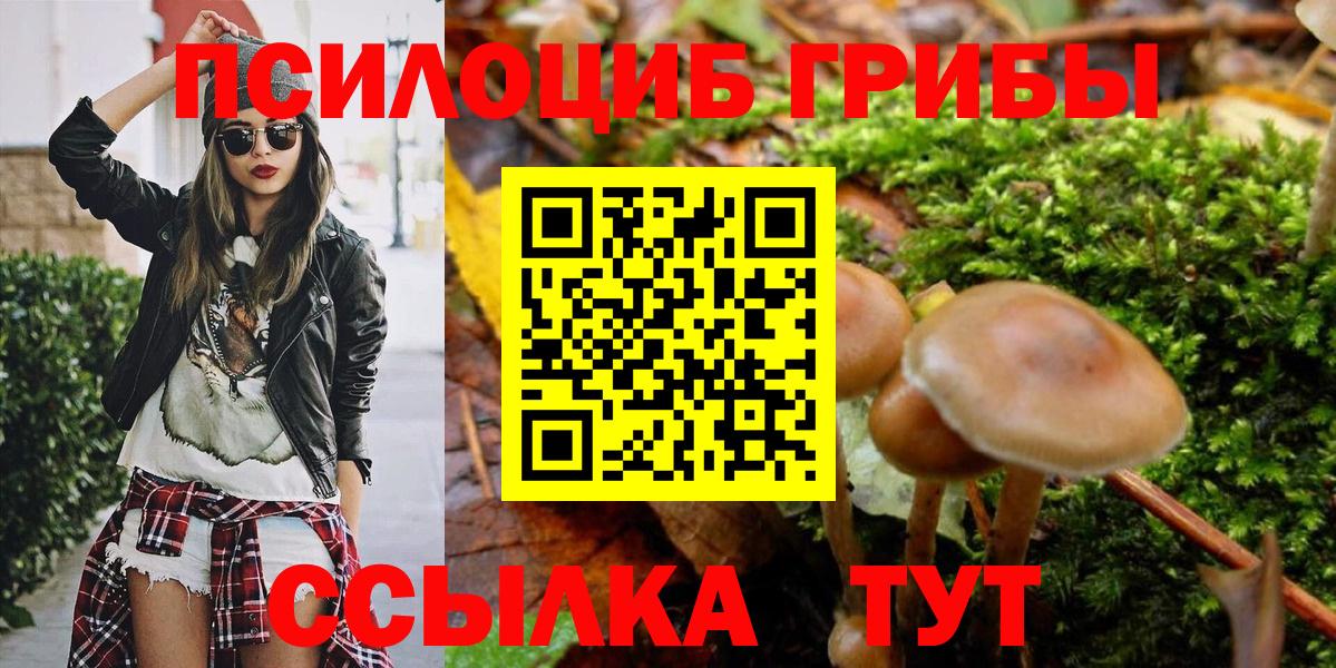 где купить наркоту  Псилоцибиновые грибы Cubensis  Вход с VPN  Фролово 